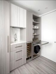 Skysuites@Anson (D2), Apartment #501112541